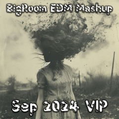 BigRoom🔥EDM🔥Mashup🔥VOL.678(162New Pack)(Free Download)(Free Password)