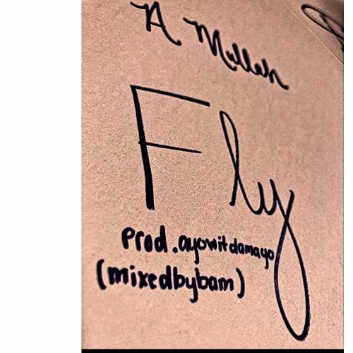 Fly (MixedByBam)
