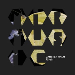 01 - Carsten Halm - Rhein (Original Mix)
