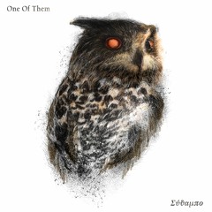 B1 - Tomo.Me