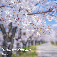 Sakura Season