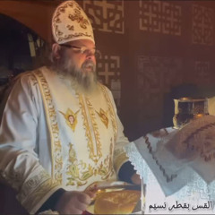 Fr. Boktor Naseim - Again, let us give thanks