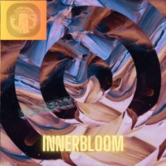 INNERBLOOM TEKK