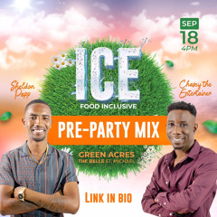 ICE PROMO MIX