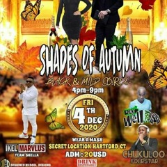 SHADES OF AUTUMN(HARTFORD CT) - (TEAM SHELLA)IKEL MARVLUS - CHUKULOO 4STAR/ DEAN4STAR & DJ ZACK
