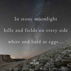 naviarhaiku395: in stony moonlight