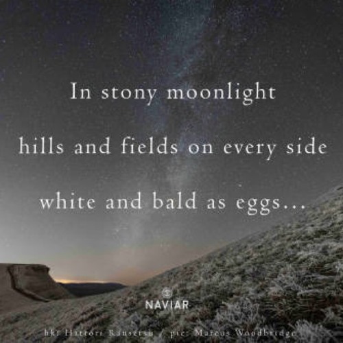 naviarhaiku395: in stony moonlight