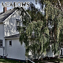 meadows - neighborhoods/ houses