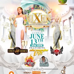 VIXEN PROMO CD (MIXED BY STRICTLY BUSINESS)