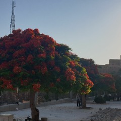 الغضب في اضطراب الشخصية الحدية