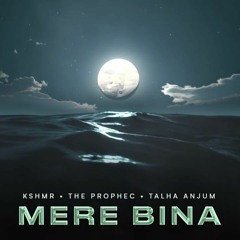 Mere Bina | Prophec | Talha Anjum | Kshmr