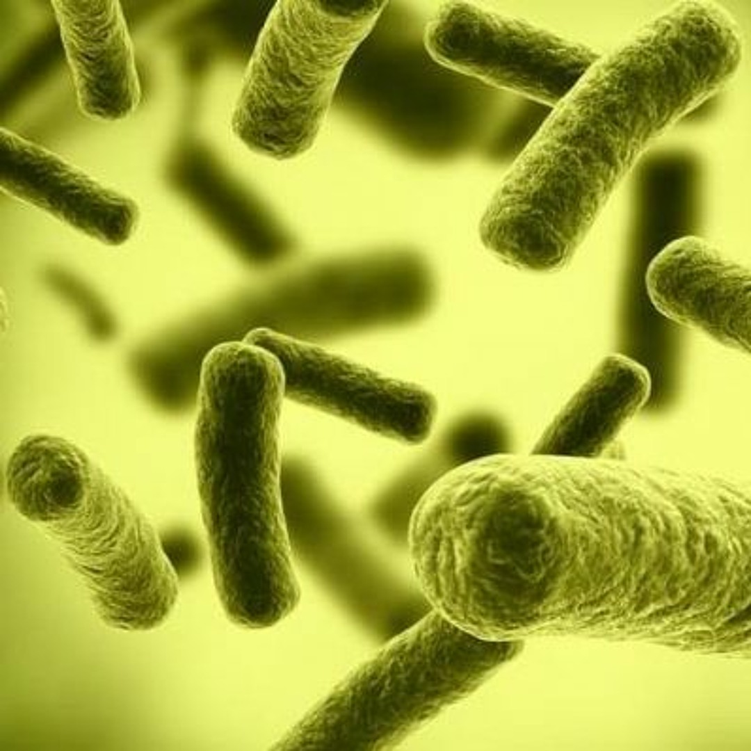 Stream episode Reino Monera - Podcast by Deidara podcast | Listen online  for free on SoundCloud