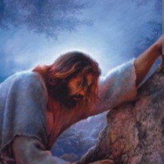 Not my Will, but yours.