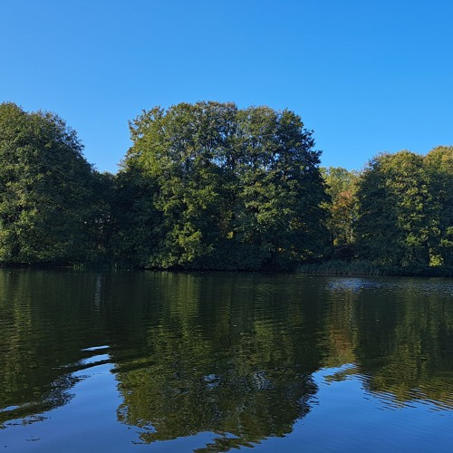 2024 - 10 - 19 October Organic Session Part 2