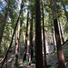 Teets & Rhombus - The Double