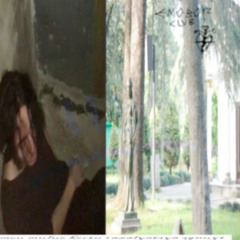 will_fall_apart_and_rot