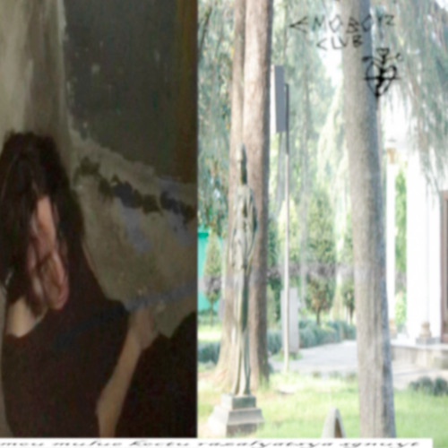 will_fall_apart_and_rot