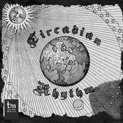 arrival in capetown.