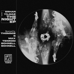 PREMIERE : Erhan Yılmaz • The Night (Schnell Schnell Remix) [Anteras Records]