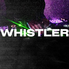 S29BTR3011 WHISTLER