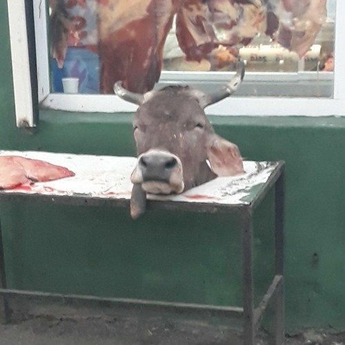 Hiçbir Şeyim Tam Degil (Akustik)