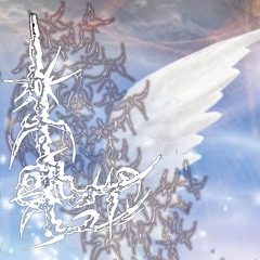 Flying Too High