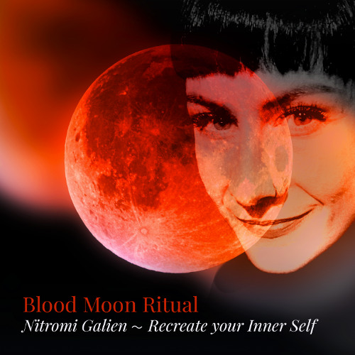 Moon Rituals 🌚