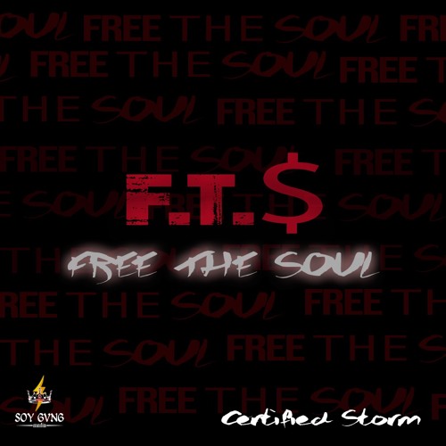 F.T.$ (Free The Soul)