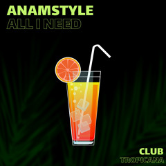 AnAmStyle - All I Need (Radio Edit)