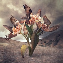 Marvels of Creatures and Strange Things Existing: I. The Sprite