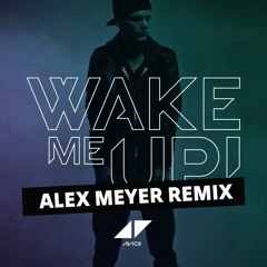Avicii - Wake Me Up (Alex Meyer Techno Remix)