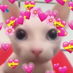 Notepad (prod. heydium)