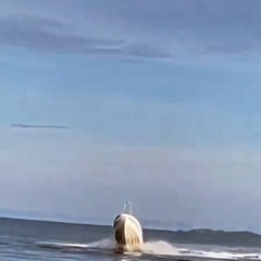 La Hategu (2024)-Yarden x Pojy x Gegii x Faafty