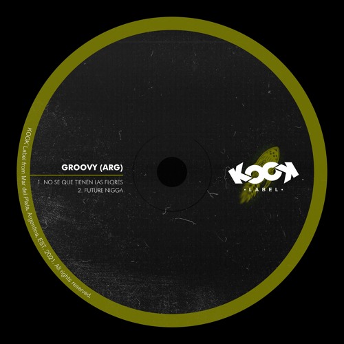 Groovy (ARG) - Future Nigga (Original Mix)