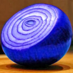 Blue Onion Blues ( Original )  2024 with  LYRIC SHEET