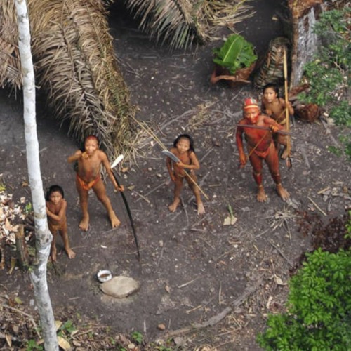 In The Tribe