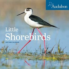 Access PDF EBOOK EPUB KINDLE Audubon Little Shorebirds Mini Wall Calendar 2023: A Tribute to the Div
