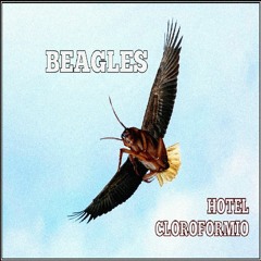 Hotel Cloroformio - Beagles