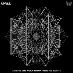 S P L i T - Where Do You Think You're Going