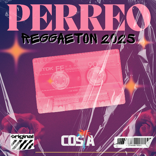 PERREO 2025 (Reggaeton Mix) Dj Costa