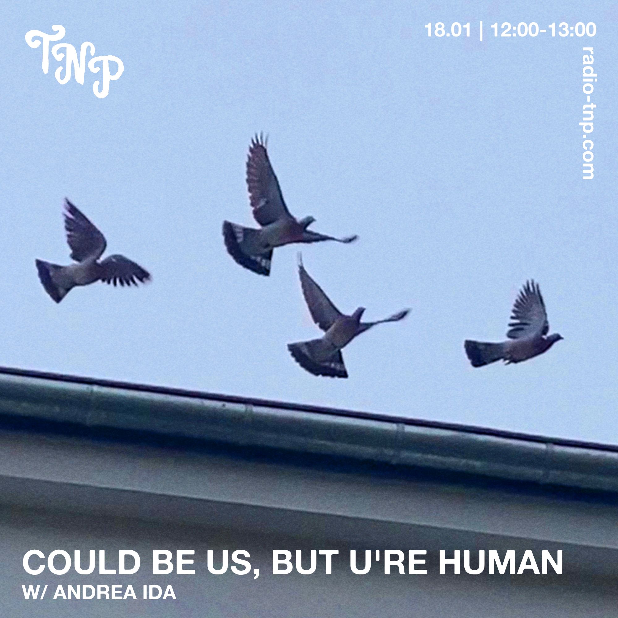 Could be us, but u're human w/ Andrea Ida