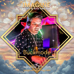 Imagine Music and Art Festival LIVE Set