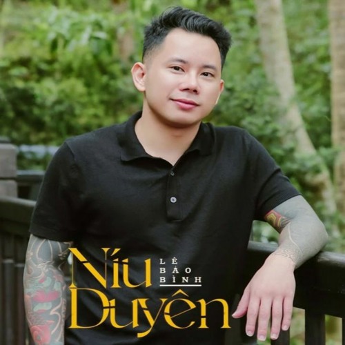 Niu Duyen (Lofi Version) - LBB DJ Teejay