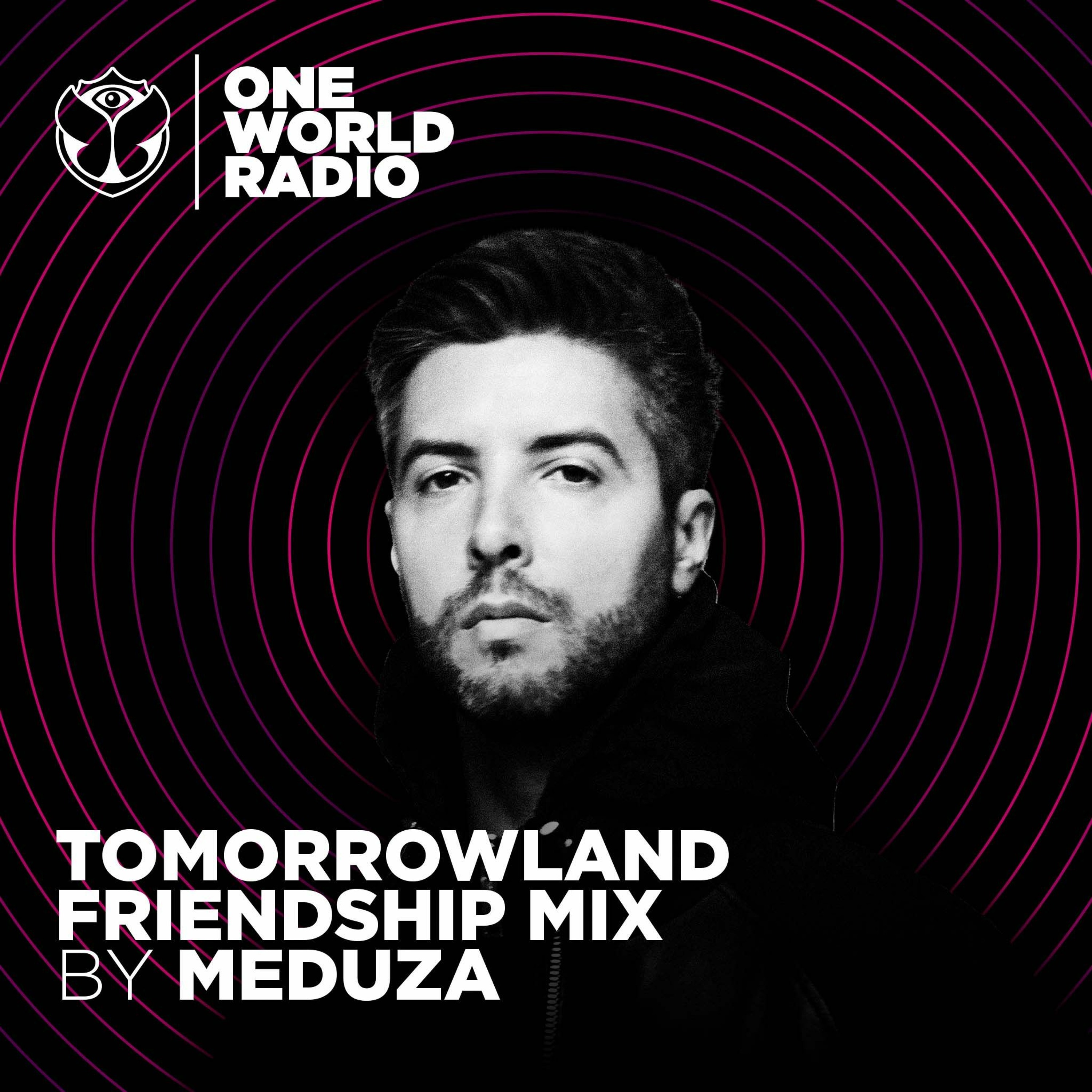 Tomorrowland Friendship Mix
