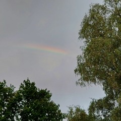 Keiner folgt mir wenn ich geh (prod. Lxnely Beats)