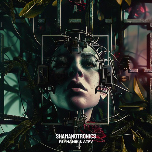 Psynamik & ATFV - Shamanotronics
