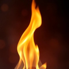 Fireproof Moves