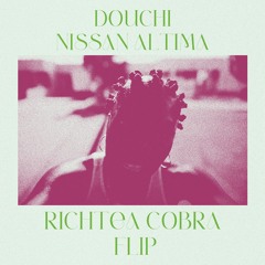 NISSAN ALTIMA (RICHTEA COBRA FLIP)