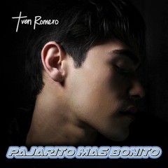 Pajarito Mas Bonito - TVEN ROMERO