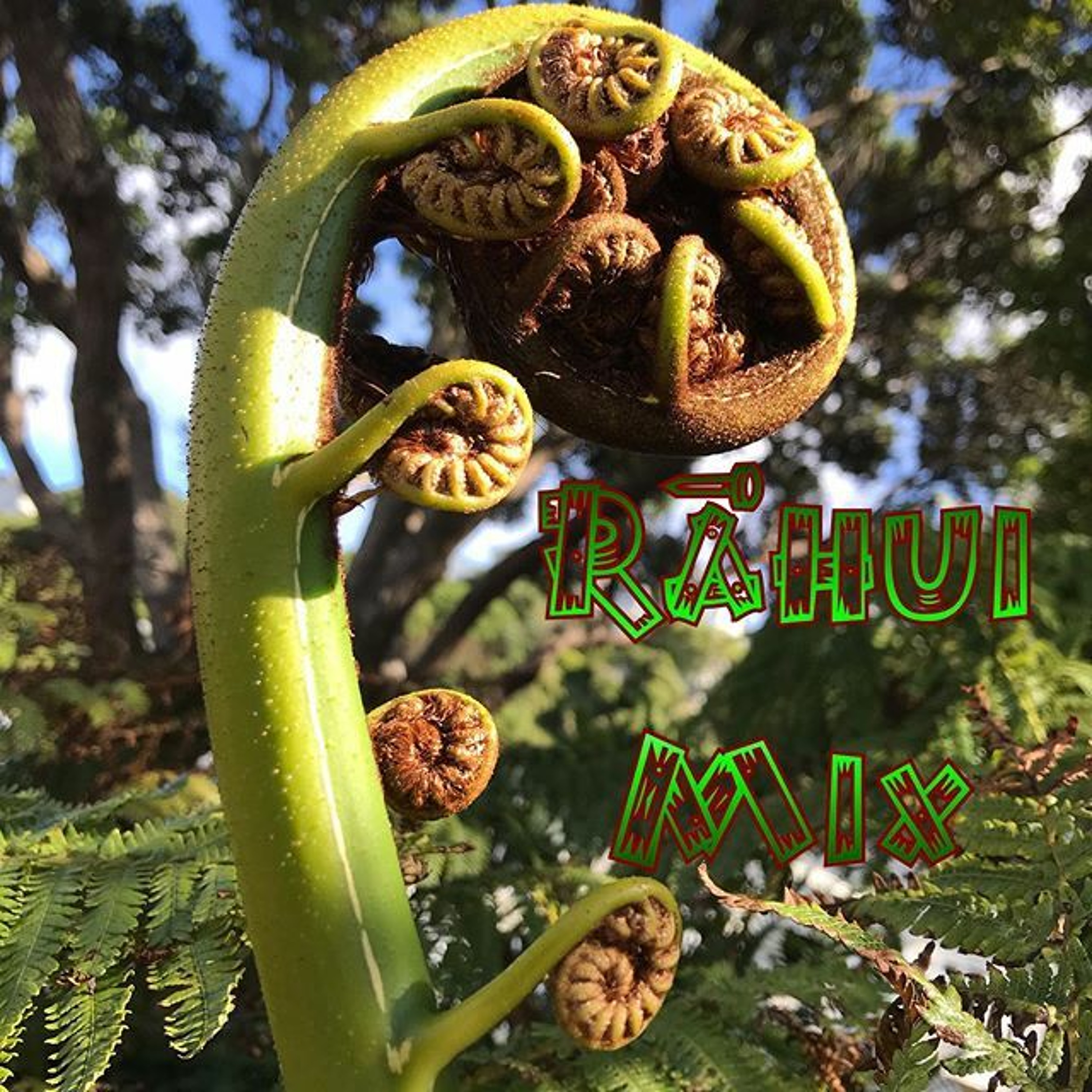 Rāhui Tahi episode artwork